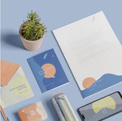 case studies